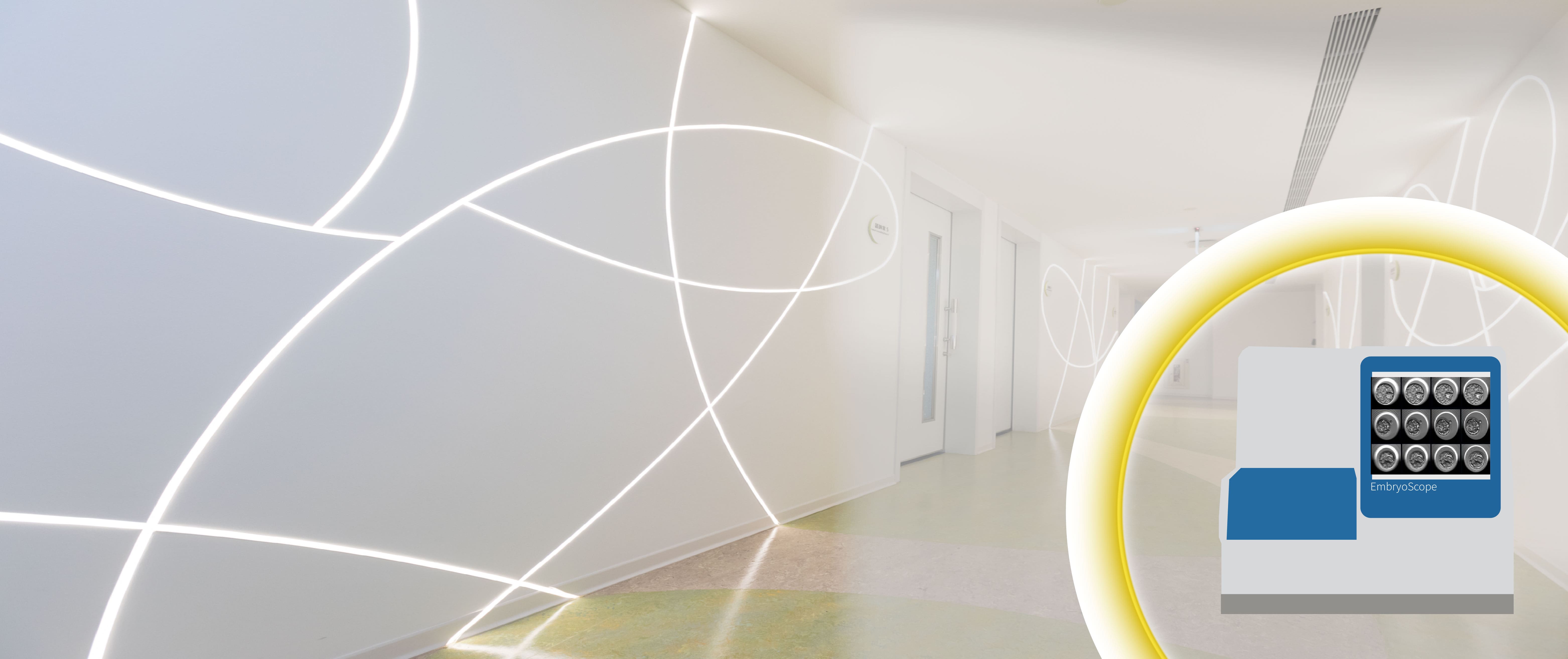 embryo1-2_工作區域 1